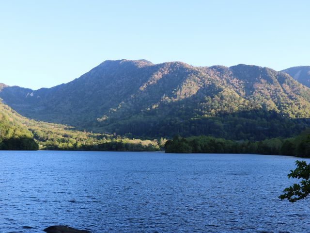 ���m��_���m��