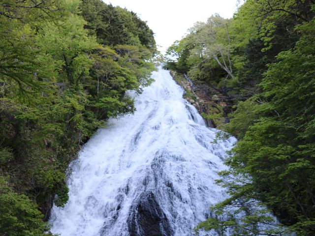 ����_����