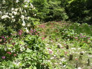 ibokorori̔ǎRñVNiQ̓eʐ^2