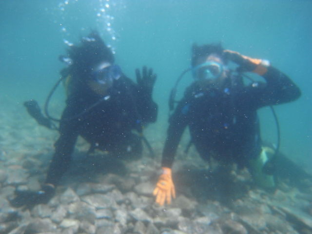 JŃob`BĂ܂I_C_CrOZ^[