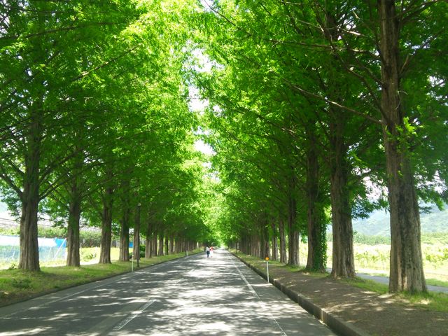 ŁA󂢂Ă܂BƂĂAYłB
 AgtÁAɁAKꂽłB_^ZRCA