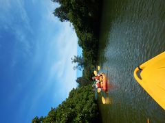 ܂Ă񂮂̂΂鎩Rmւ̓eʐ^1