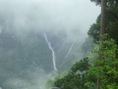 V񂳂̗RAy[gyxRzւ̓eʐ^1