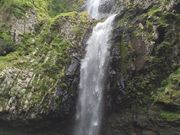 �C���_�C����̕z����̓��e�ʐ^2