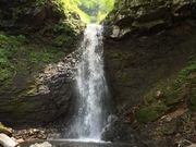 �C���_�C����̕z����̓��e�ʐ^3