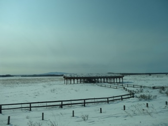 ������_������