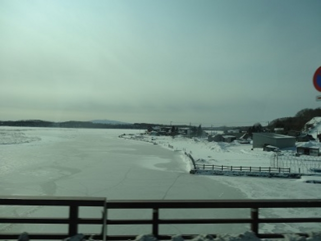 ������_������