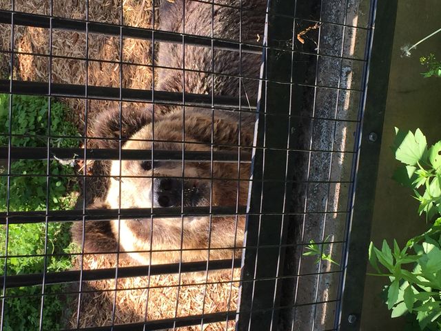 ����Ȃɋ߂��œ����������Ɣ��͂��Ⴂ�܂��B_���R������