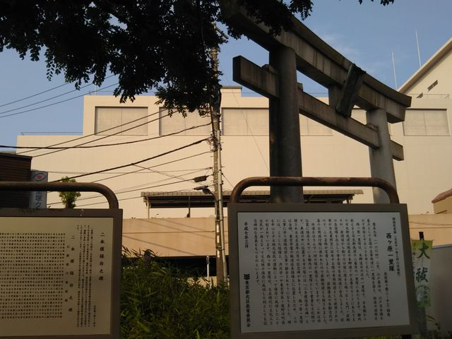 cJ擙X͂̏Zl̐ꗢ˂̓eʐ^1