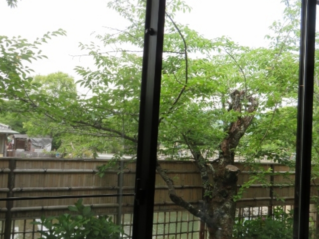 景色_京都嵐山温泉風風の湯