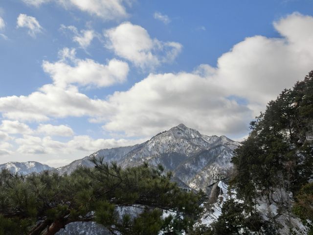 2017�N�Q��
��ݏ��x������芙���x��_���P�x