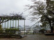 ڂ肳̉PnՁiPnj̓eʐ^1