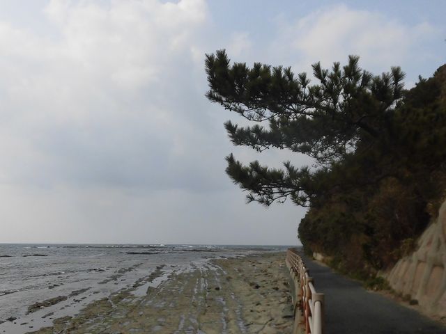 �@_�g���V����