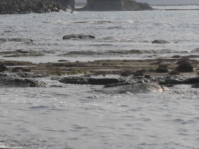 �A_�g���V����