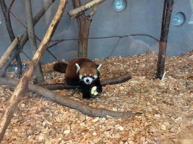 �~�R������