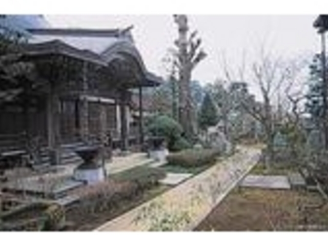 䂤̔ʎ@iÉMCsj̓eʐ^1