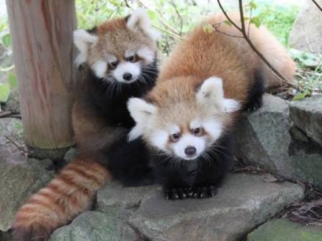 ����_�~�R������