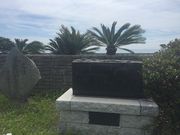 �Ƃ񂷂�����̌������㗤�n�̓��e�ʐ^1