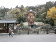 䂫Ȃ̃njxތA@̓eʐ^1