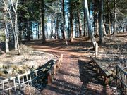 ς炳̎RΕw̐X̓eʐ^1