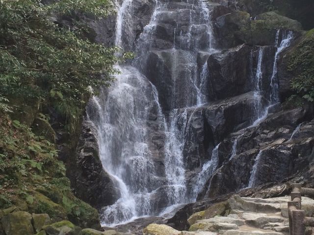 ���z�I_�����̑�