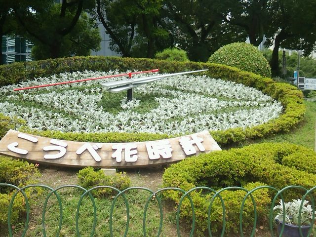 ����_�_�ˉԎ��v