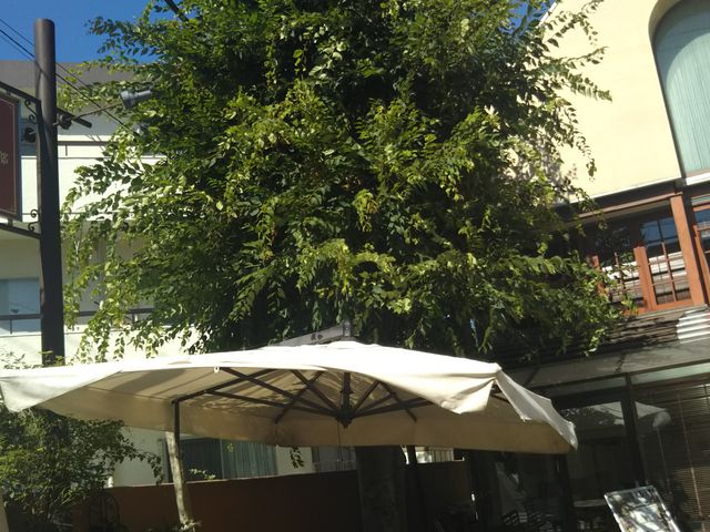 cJ擙X͂̏Zl̓czy̓eʐ^1