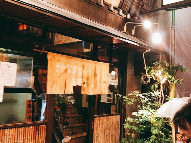 DEN����̂����ȉ�����̋���������̓��e�ʐ^1