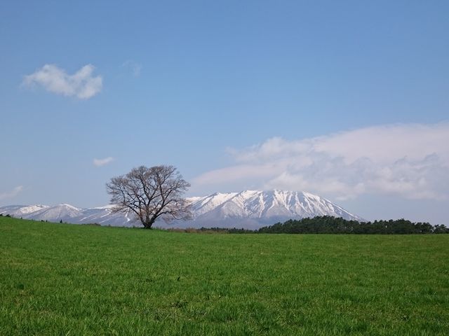 ��{��_�����_��̈�{��