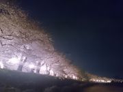 肳̕Oؓ̃\CVm̓eʐ^1