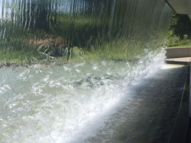 ���̃J�[�e��_���������فu����Ďq�ǂ��̐X�v