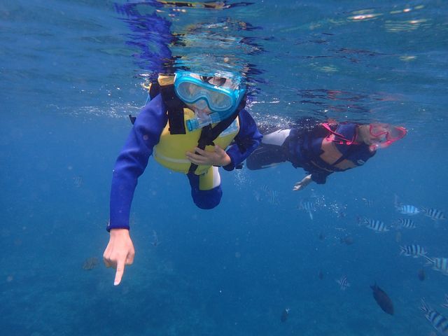 �����������Ċ��ł��܂�_�V���m�[�P�����{�@�I�L�i��