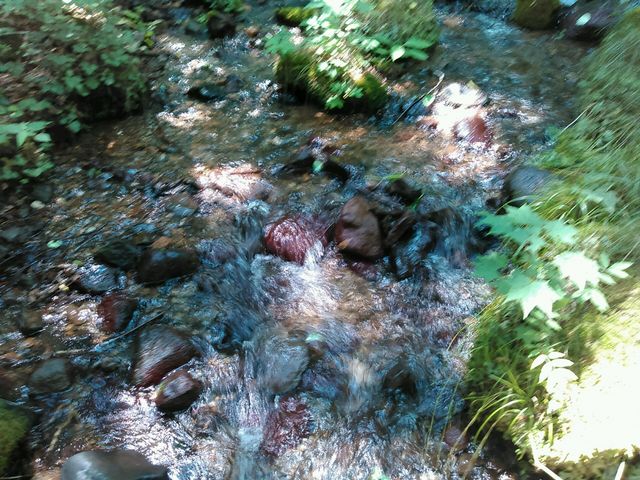 ����ł��܂��B�������߂Ă���ė��܂����B�������S�~�̂ď�ɂȂ�Ȃ������F��܂��B_���m��N��