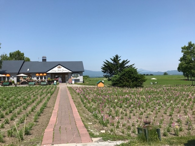 �L�X���Ă܂�_���[�N�q���t�@�[��