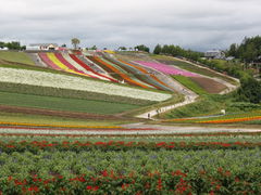 �l�G�ʂ̋u�̎ʐ^1