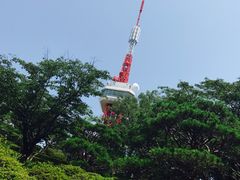 ݂񂳂̔R̍ւ̓eʐ^1