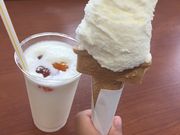 JȂ̉|{q@tHgD[i̓eʐ^1