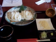 ˉԎq̐łǂ@J̓eʐ^1