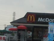�肷����̃}�N�h�i���h4�����z�J�X�̓��e�ʐ^1