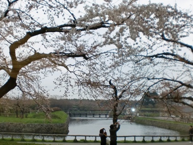 �ܗŊs�����@�Z�Ԓ��O�̍�_�ܗŊs����