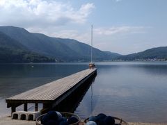 jC`̑咬s؍΂ւ̓eʐ^1