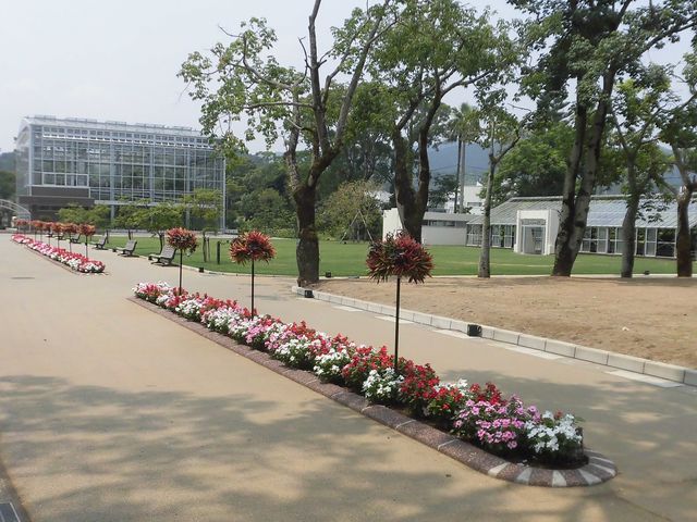 �A_�����M�ѐA����