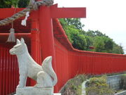 ܂䂿񂳂̕א_Ђ̓eʐ^2