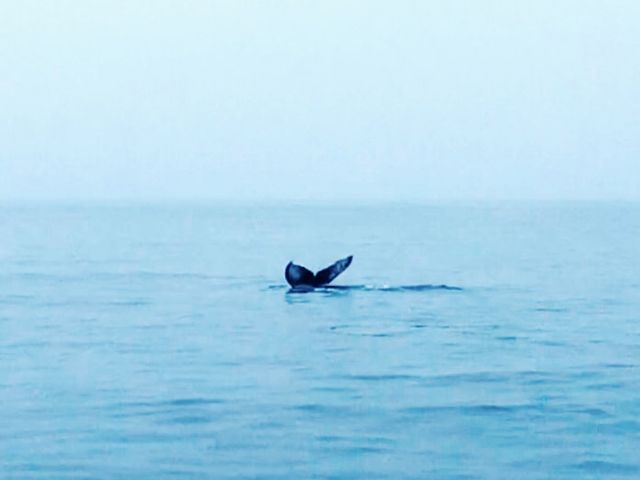 �����炳��_������ЂƂ�����