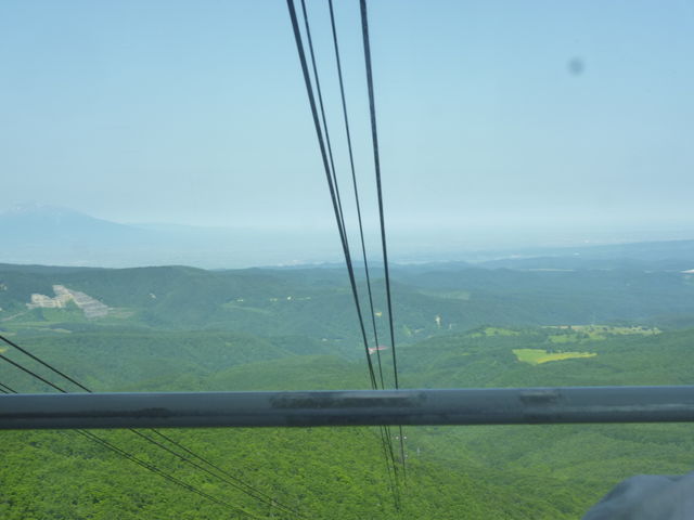 ���C�̏�_���b�c