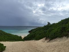 sunfish̍Rr[`ւ̓eʐ^1