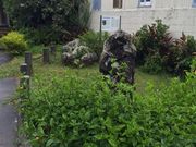 sunfish����̐l���Ő΂̓��e�ʐ^1