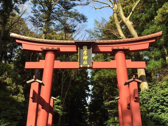 ��F�_�Ђ̒���_�\�F�_��