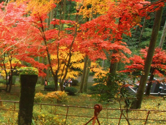 ��������_�ɓ����x���z����݂�