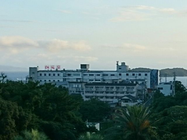 �����C����͊C�̒��߂�����_������